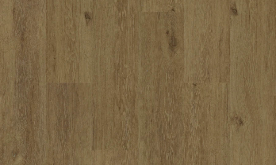 hydro-gen-6-gold-coast